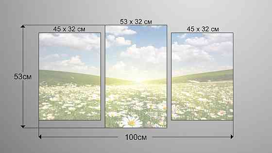 Модульна картина Поле Ромашок Art-170_3 Київ