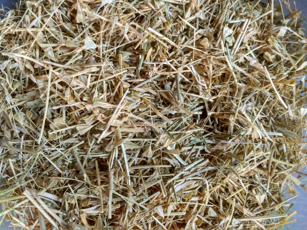 Грицики (Пастушья сумка) 100г master sem Киев - изображение 2