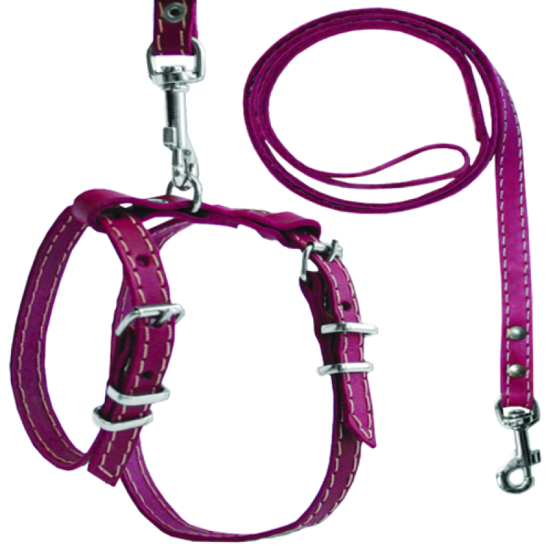 760 Комплект "КЛАСИК" кішка №1 Вінниця - фото 1