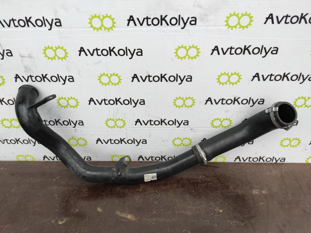 Патрубок інтеркулера Ford Fusion 1.6 tdci 2002-2012 (5S61-6C646-AG) Ковель - фото 1