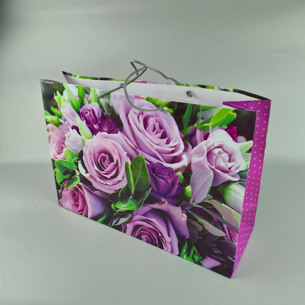 Бумажный пакет горизонтальный гигант 46*33*15 (артGG-004) (12 шт) Харьков - изображение 1