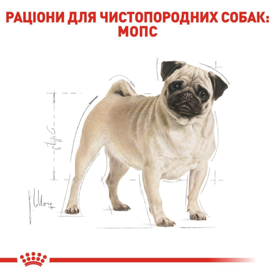 Роуал Canin Pug Adult (Рояв Канін Паг Едалт) сухий корм для дорослих собак породи мопс від 10 місяців 1,5 кілограма. Запоріжжя