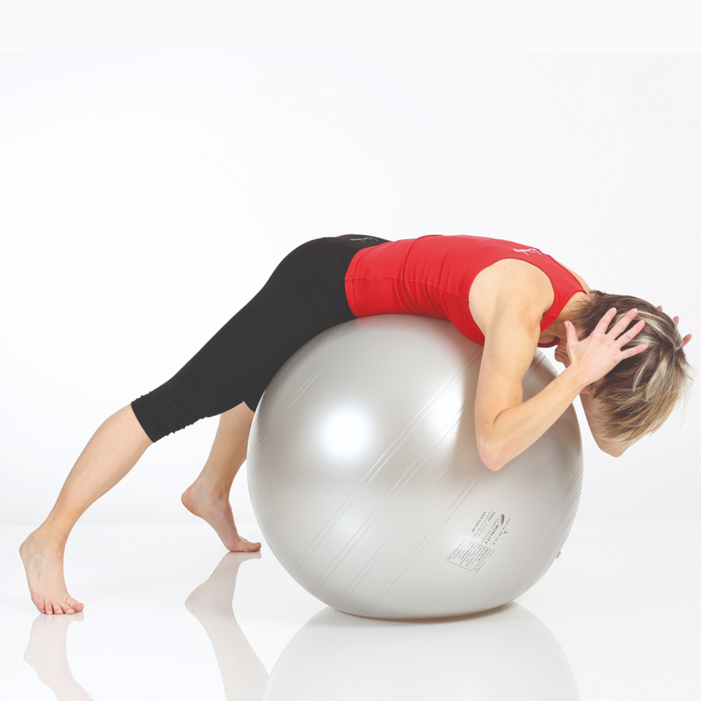 Мяч гимнастический TOGU Powerball ABS - 65 см (серебристый) Днепр - изображение 2