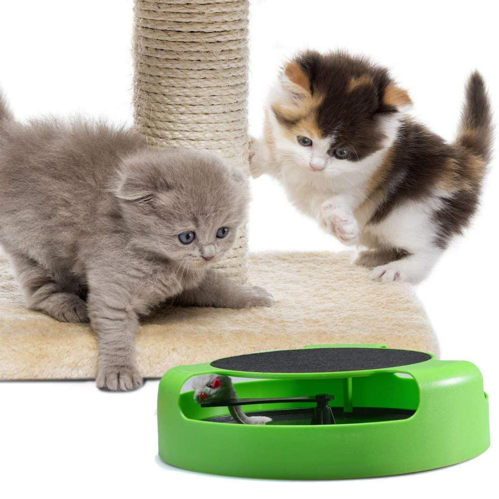 Інтерактивна іграшка для кота "Злови мишку" з кігтеточкою,Зелена SBR Київ - фото 8