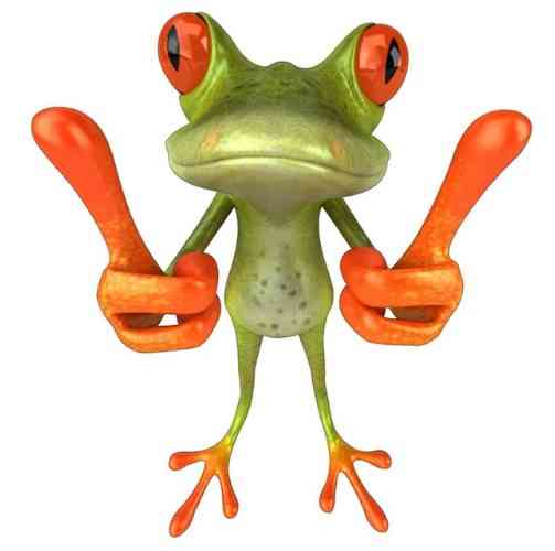 Наклейка виниловая Лягушка 17 на 17 см разноцветный Киев