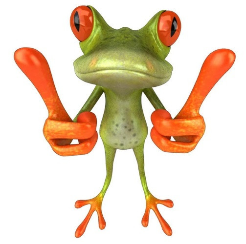 Наклейка виниловая Лягушка 17 на 17 см разноцветный Киев - изображение 1