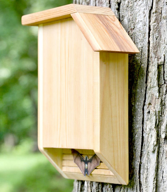 Будиночок для кажанів "Лілик" бланже Миколаїв - фото 1