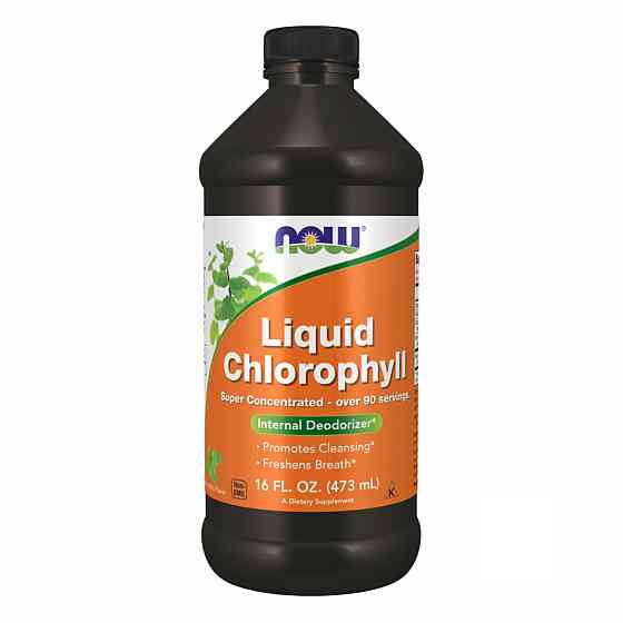 Chlorophyll Liquid Mint - 16 oz Луцьк