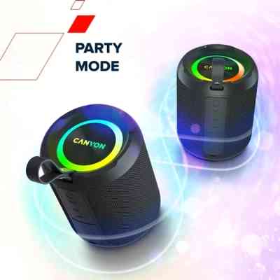 Акустическая система Canyon OnMove 11 Black (CNE-CBTSP11) Винница