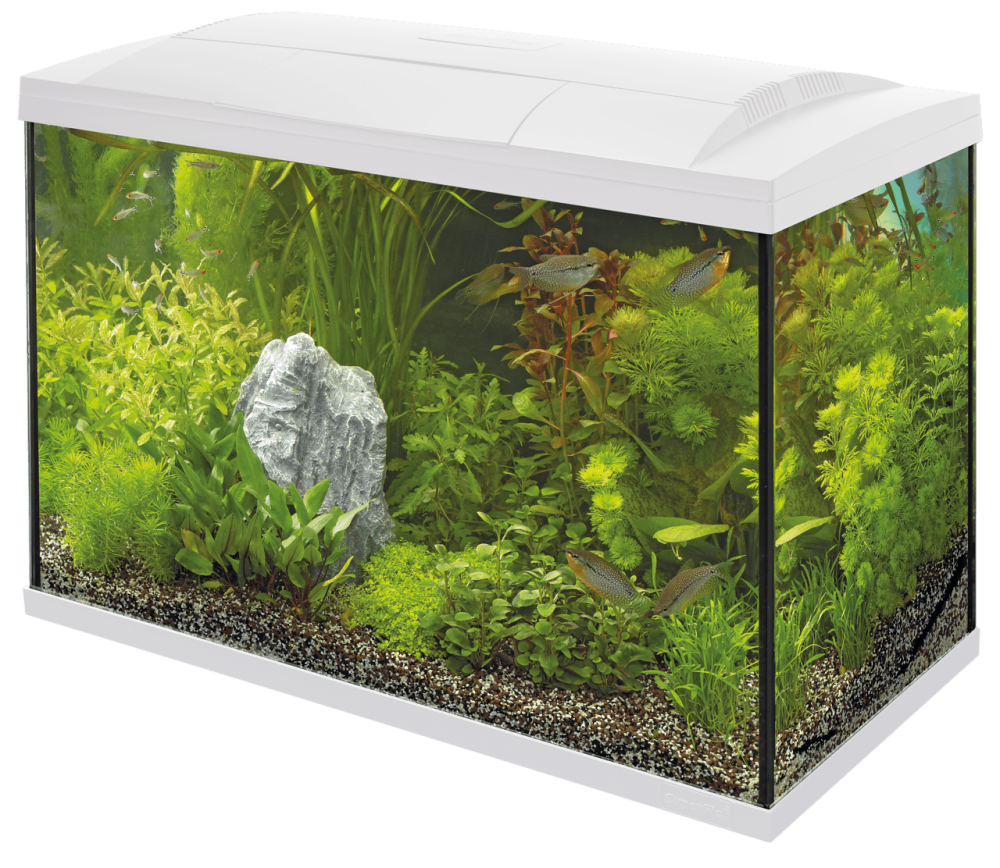 Акваріумний стартовий набір SuperFish Start 100 Aquarium Kit White (A4050297) Київ - фото 1