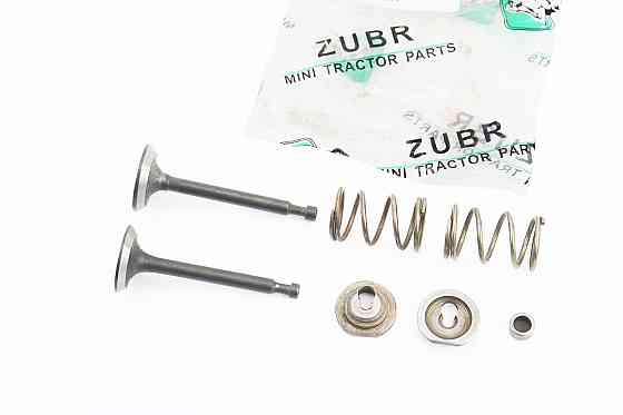 Клапан впускний, випускний к-кт 2шт 168F + пружина-2шт + сухар-2шт компенсатор-1шт Киев