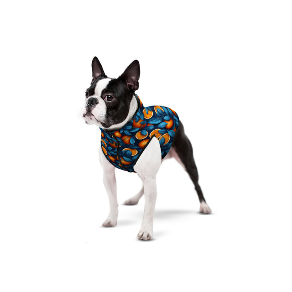 Курточка для собак WAUDOG Clothes рисунок 