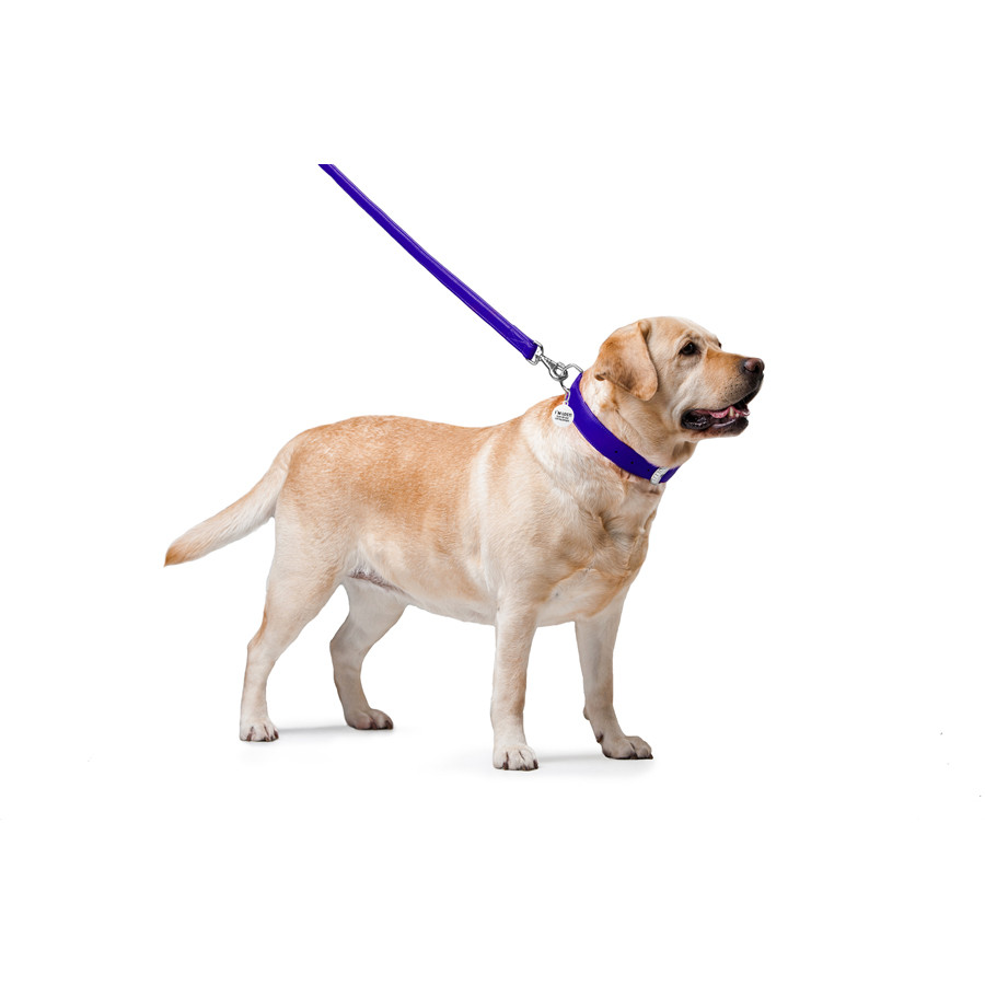 Повідець для собак шкіряний WAUDOG Glamour, Ш 25 мм, Дов 122 см фіолетовий Коломия - фото 5