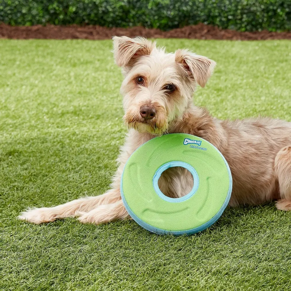 Игрушка летающий диск Chuсkit! Zipflight для собак, размер S (зеленый) Винница - изображение 4