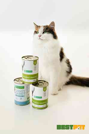 Nature's Protection Kitten Beef & Turkey hearts Вологий корм для кошенят з яловичиною і серцем індички, 400 г Киев