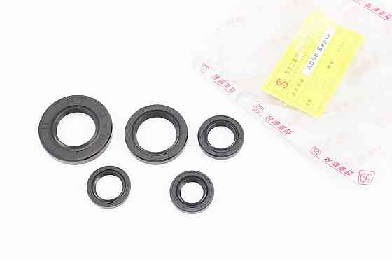 Сальники к-кт 5шт (15x25x5; 17x25x4; 17x27x5; 24x43x6; 25x37x6) двигуна, Suzuki Sepia Київ