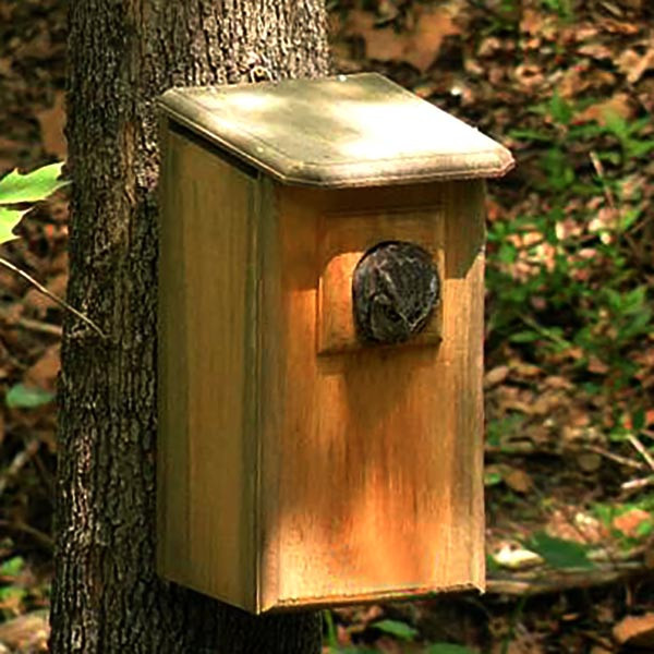 Домик для совы 