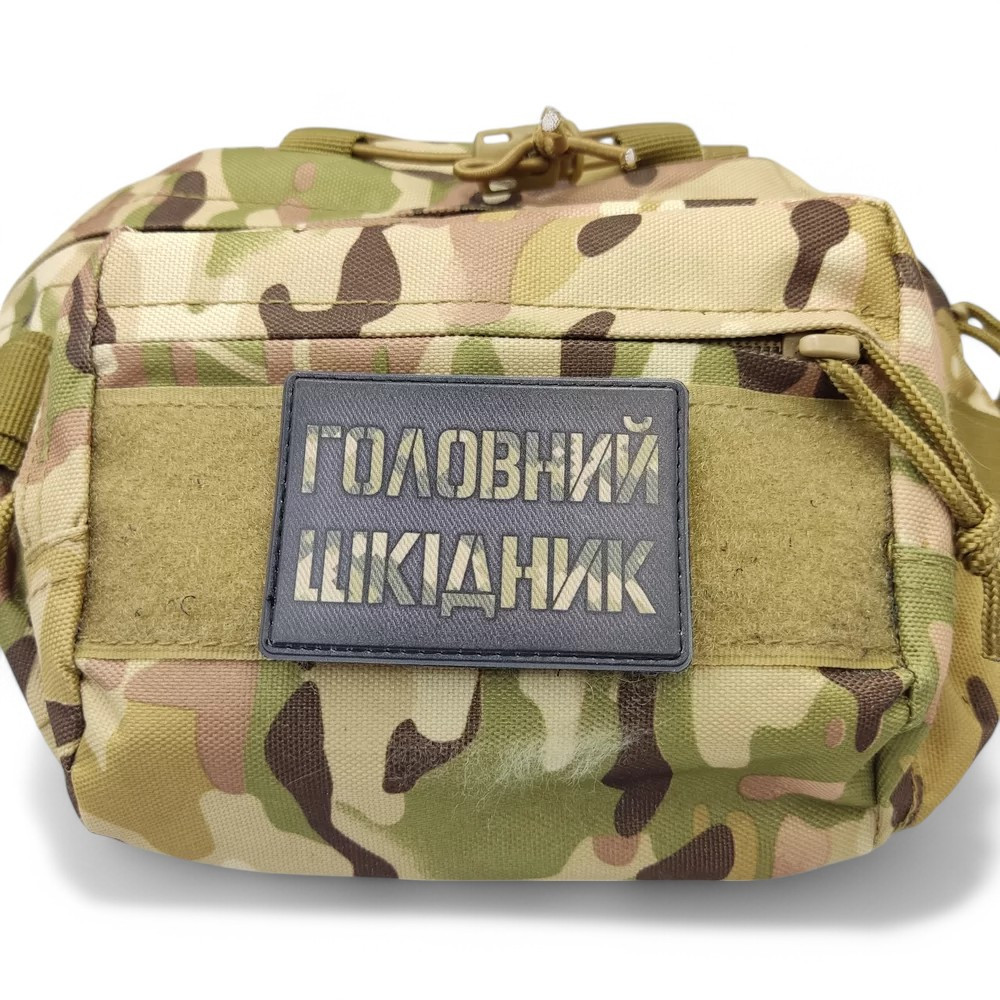 Патч / шеврон Головний шкідник Запоріжжя - фото 2