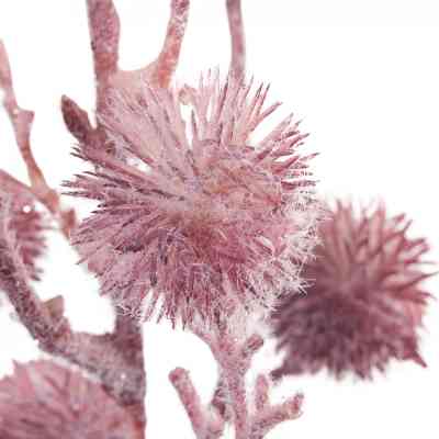 Декоративна гілка YES! Fun Колючка Пурпурна Засніжена 84 см (974804) Вінниця