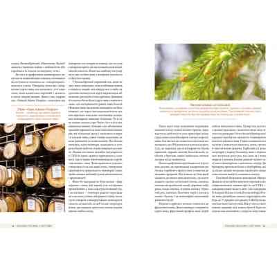 Книга Смак пива. Інсайдерський путівник у світі найвидатнішого напою людства - Ренді Мошер Видавництво Старого Лева (9786176794882) Вінниця