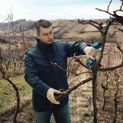 Секатор Bosch Pro Pruner, 12V, 2х3Ah (0.601.9K1.021) Вінниця