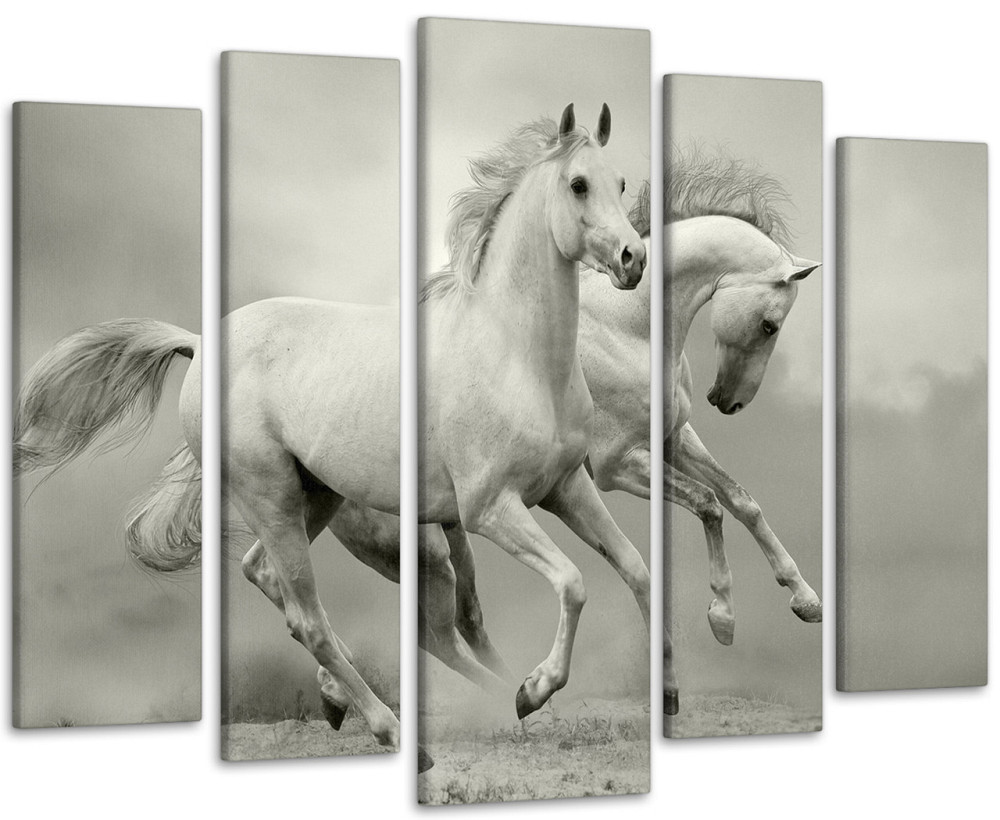 Модульная картина Лошади Art-118_5 105x150 см Киев - изображение 1