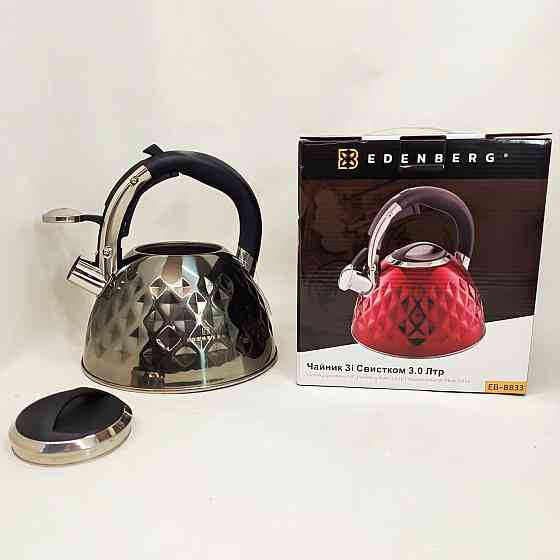 Чайник на три литра для плиты, Чайник с удобным носиком для налива воды Современный со свистком EO-72 Львов