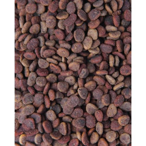 Корм сухий Carnilove True Fresh Cat Fresh Chicken для дорослих котів з куркою 340 г Київ - фото 4