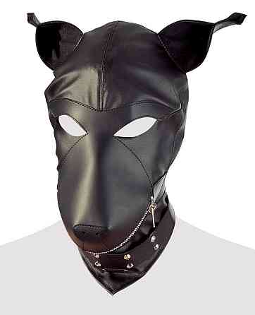Маска - 2490099 Fetish Collection Dog Mask Black Sex Aura Київ