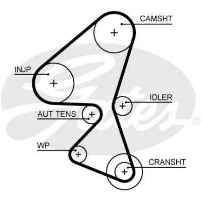 Ремінь ГРМ Gates 5656XS Вінниця