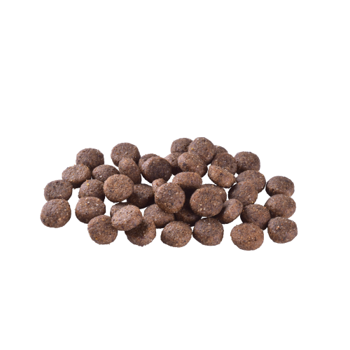 Корм сухой Brit Care Dog Grain-free Adult для взрослых собак малых и средних беззерновых пород с лососем 1 кг Киев - изображение 2