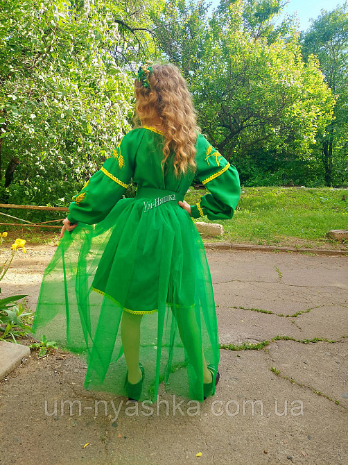 Детское вышитое платье с колосками Кривой Рог - изображение 10