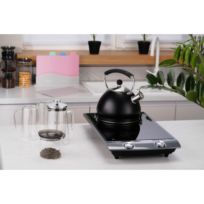 Настольная плита Ardesto ICS-B216 Винница - изображение 3