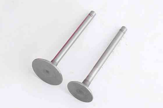 Клапаны (пара, голые) мотоблок 178F (6Hp) Мукачево