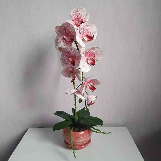 Штучна латексна орхідея VIP в рожевому керамічному кашпо на одну гілку біло-рожева Дніпро