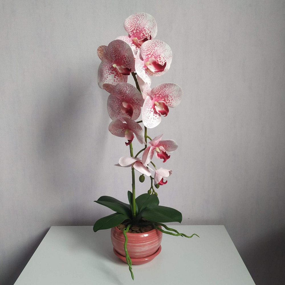 Штучна латексна орхідея VIP в рожевому керамічному кашпо на одну гілку біло-рожева Дніпро - фото 1
