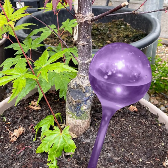 Колба для автоматического полива | Вазон в виде шара для сада, 3шт, капельный автополив, 8×25см, фиолетовый Каменец-Подольский