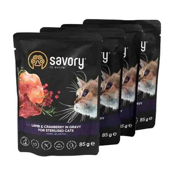 Набір паучів Savory Sterilised Cats with Lamb and Cranberries in Gravy 3+1 Київ