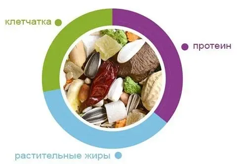 Padovan Natural Mix Pappagalli 18 кг. (Падован Нечурал Микс) основной корм для крупных попугаев Запорожье - изображение 2