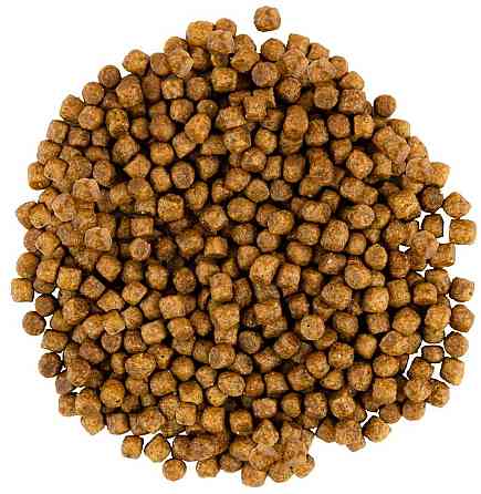 Сухой корм для котят Сейвори Savory со свежим мясом индейки и курицы, 2 кг Винница