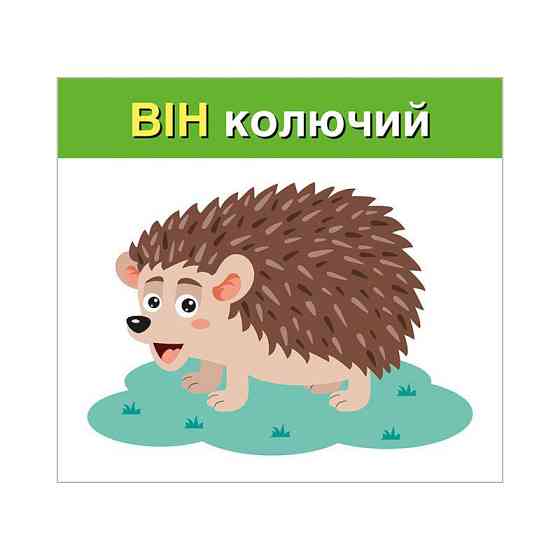 Учебные карточки 