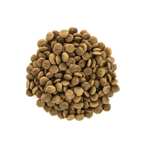 Корм сухий Brit Care Cat Grain Free Large Power Vitality для дорослих котів великих порід з качкою та куркою 400 г Київ - фото 2
