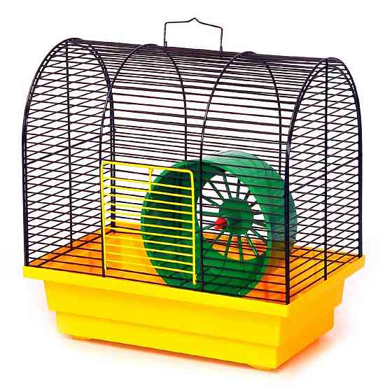 Клітка для гризунів Бунгало Міні металева (28 х 18 х 28 см), Лорі Київ