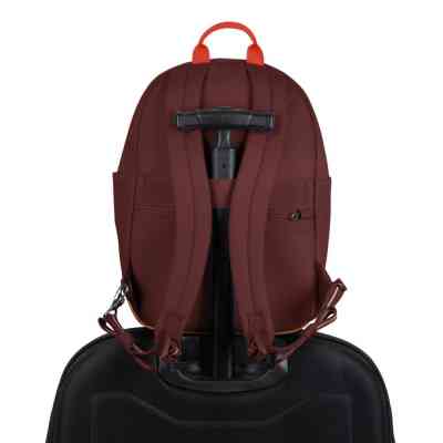 Рюкзак туристический Pacsafe Go 15L бургунді (35110345) Винница