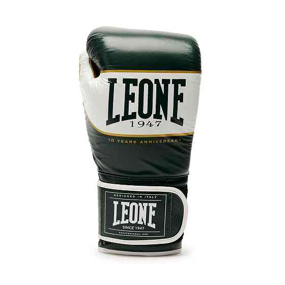 Боксерські рукавички Leone Shock X Green 16 ун. Кам'янське