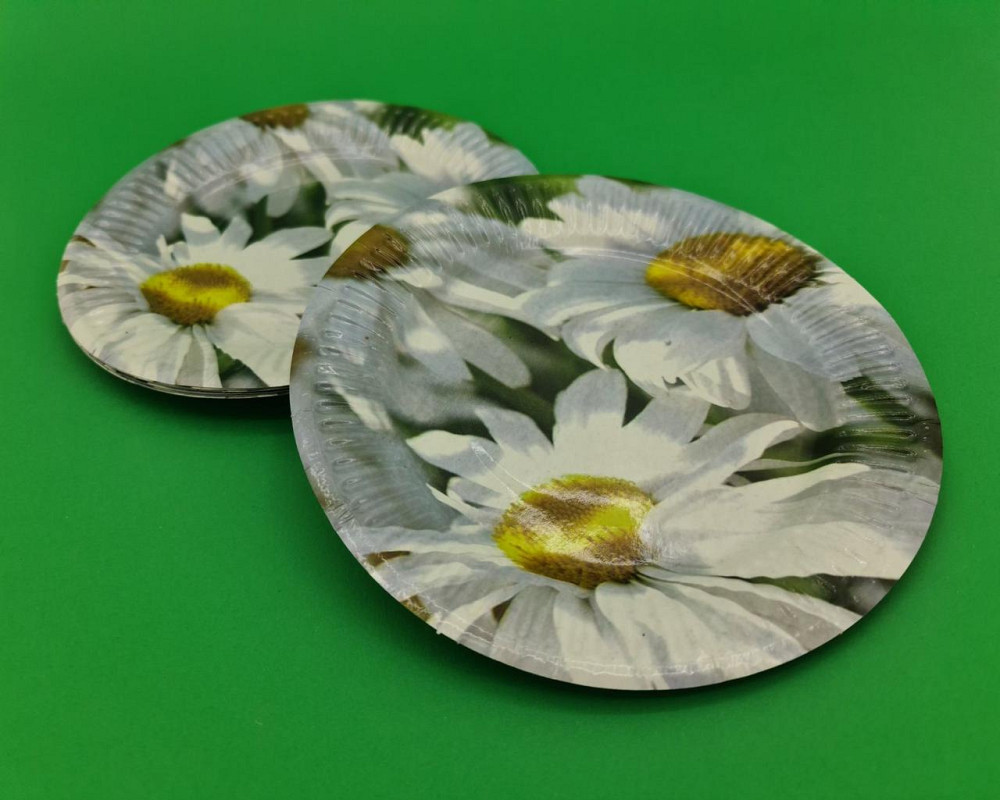 Бумажная тарелка с рисунком  18см