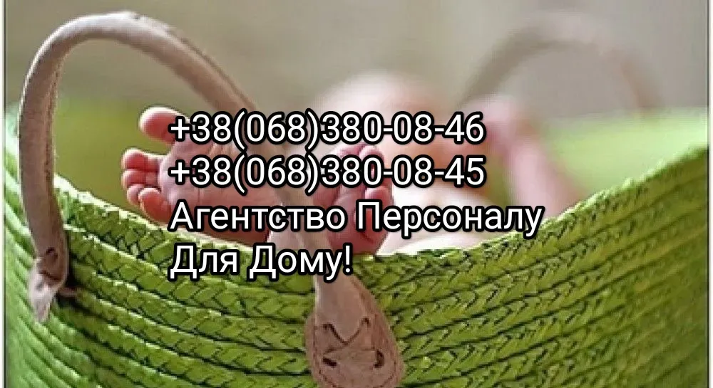 Домробітниця. Гореничі Київ - фото 1