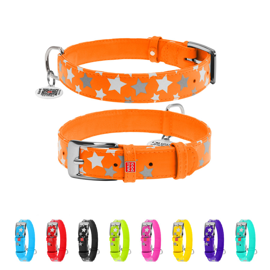 Нашийник для собак шкіряний WAUDOG Glamour з QR паспортом, візерунок "Зірочка", світлонакопичув Коломыя - изображение 1