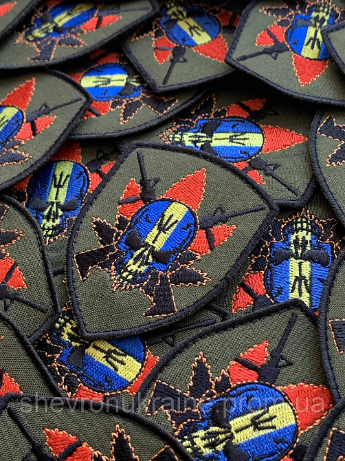 Шеврон Черепок (Форма щит. На липучці) Розмір 8x6см Київ - фото 2