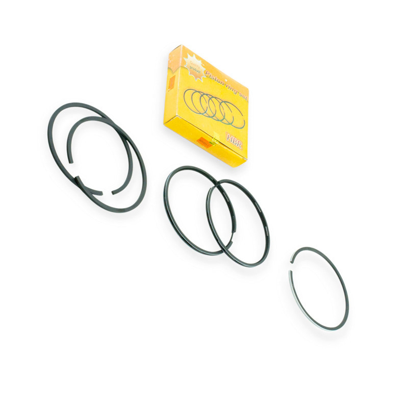 Кольца СТ 110,0 п, к (2 м, с кол) Д-240 Мукачево - изображение 1